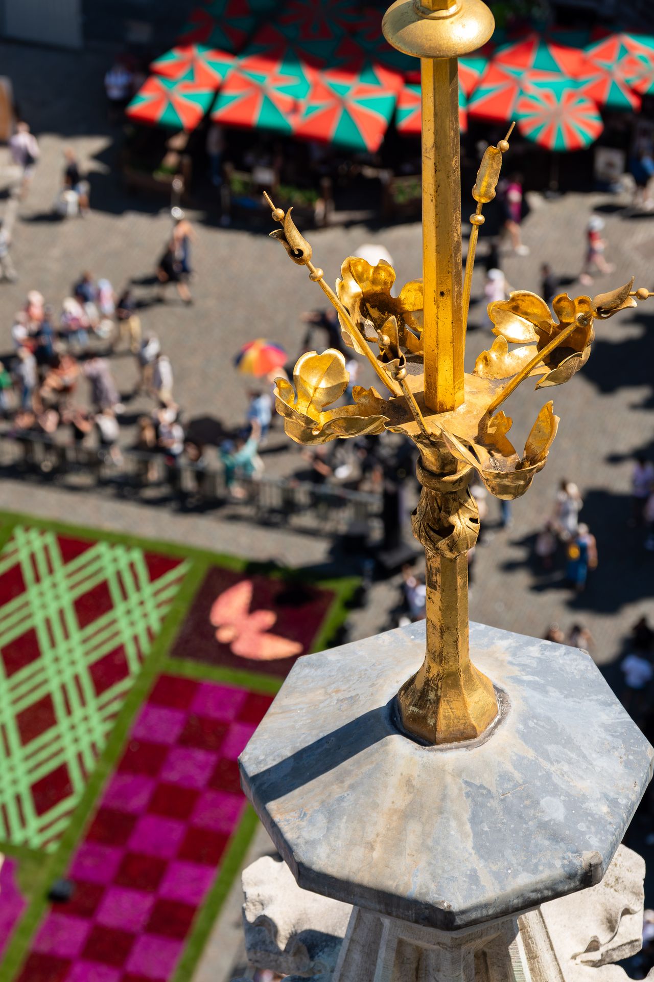 Vue du Tapis de fleurs 2026 depuis l’Hôtel de Ville de Bruxelles