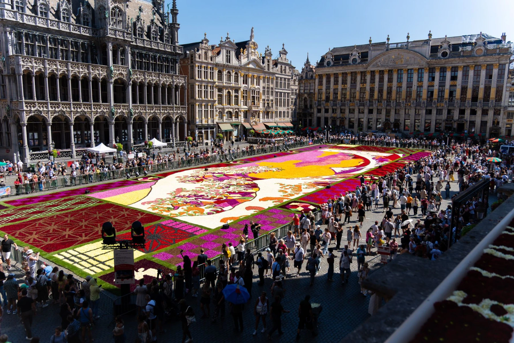 Tapis de fleurs 2026 entouré du public sur la Grand-Place