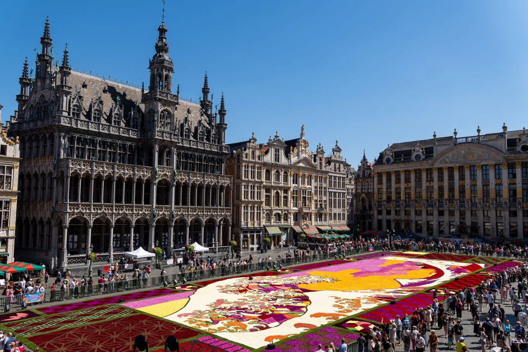 Grand-Place de Bruxelles avec le Tapis de fleurs 2026