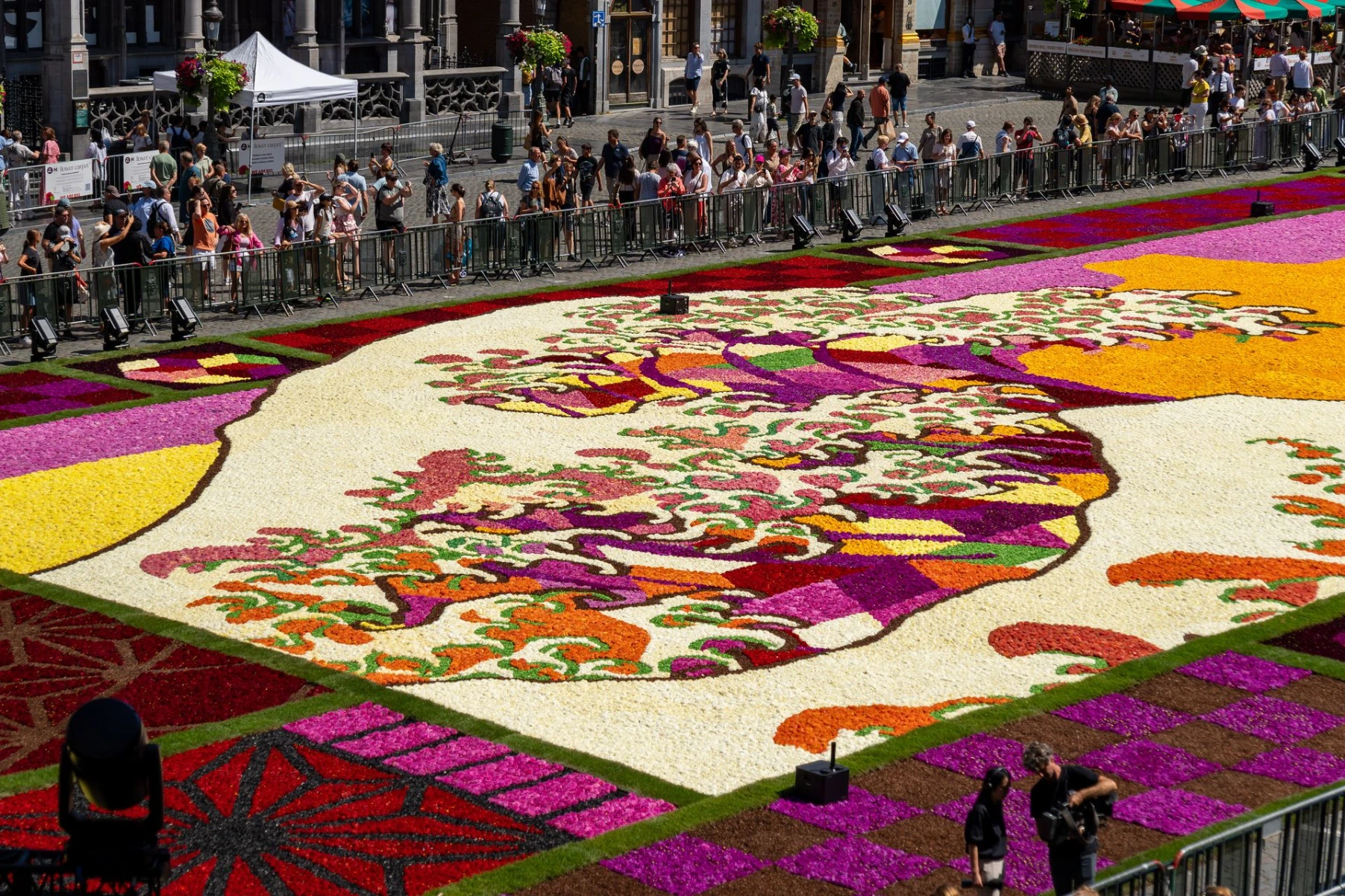 Détail floral du Tapis de fleurs 2026 sur la Grand-Place